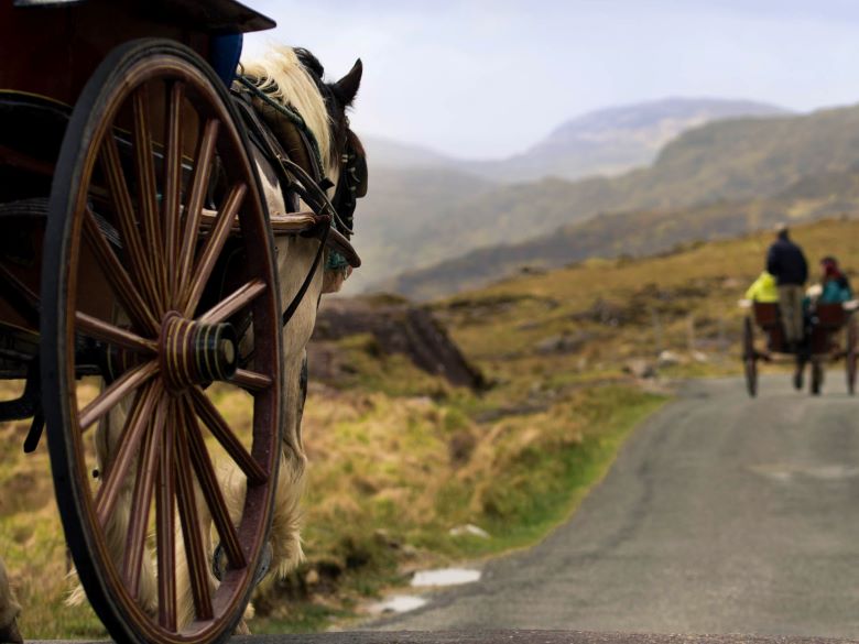 Horse and wagon on dirt road