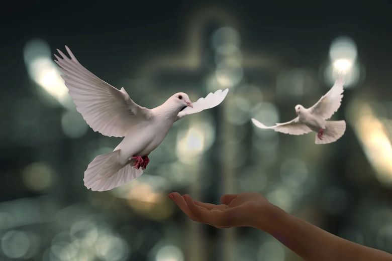 Doves landing on an open palm